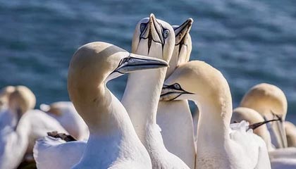 黑料网想转发前：先看推断有没有越界，再把证据列成条（把信息拉直）